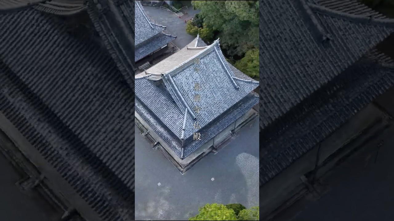 【ドローン空撮】京都 泉涌寺仏殿｜四代将軍&rdquo;家綱&rdquo;再建の重要文化財 ｜
