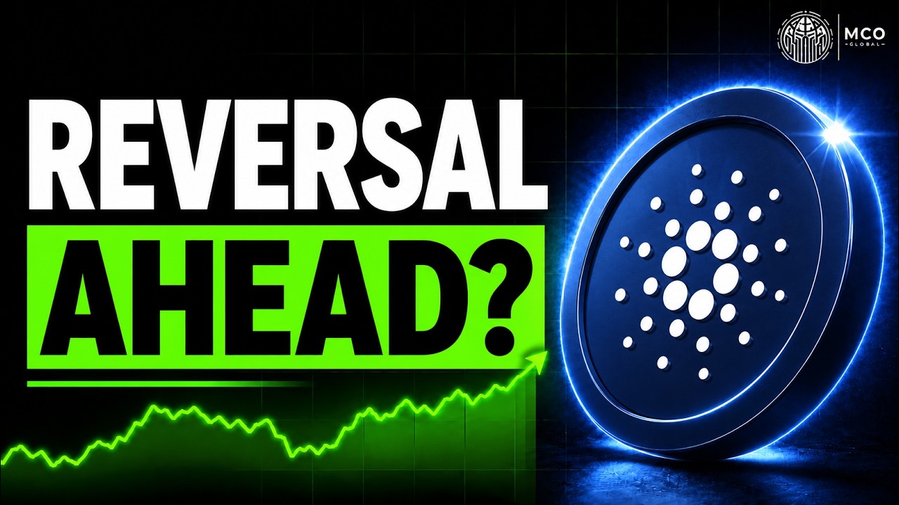Is the ADA Bear Market Ending? The Elliott Wave View