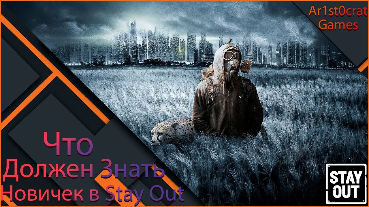 Что Должен Знать Новичок?Ветка,Оружие,Советы Stalker Online/Stay Out