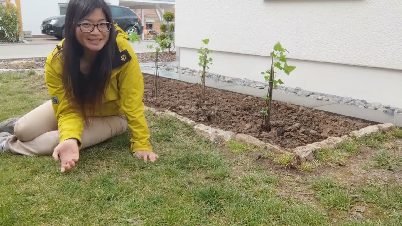 DIY Beerenbeet anlegen/Anfänger/Rasen in Beet umwandeln/Aus Rasenfläche wird ein Beerenbeet/Garten