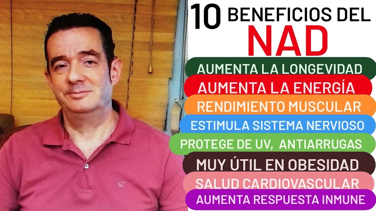 10 BENEFICIOS DEL NAD LONGEVIDAD ENERGÍA MÚSCULO ANTIARRUGAS OBESIDAD ALIMENTOS QUE AUMENTAN NAD