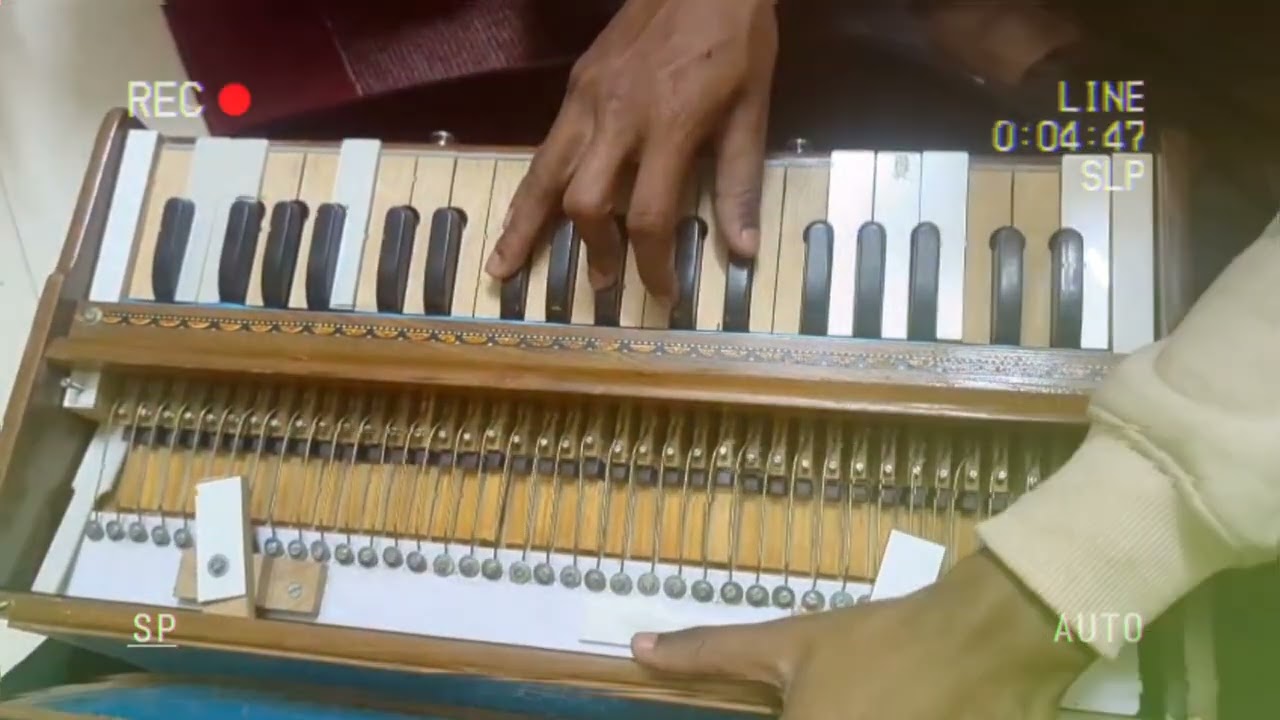 Hare Krishna Tune on Harmonium 🥰✨🪷 kirtan With Hari Naam Nectar 🥰✨ #iskcon #devotional #harmonium