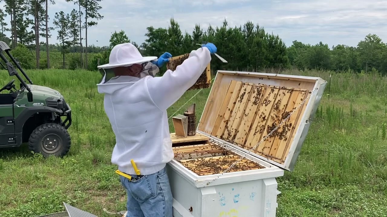 Adding a Queen excluder to Horizontal Hive