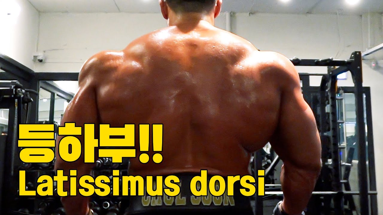 등하부 Latissimus Dorsi (ENG Subtitle)