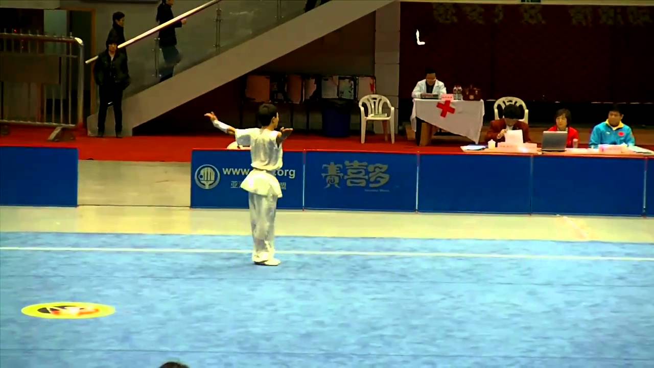 China Wushu Pre-Nationals 2010 - Changquan - Zhang Jie (Tianjin)