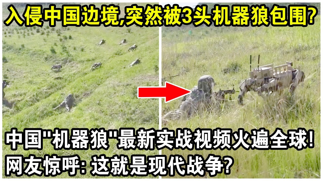 入侵中國邊境，突然被3頭機器狼包圍？中國“機器狼”最新實戰視頻火遍全球！網友驚呼：這就是現代戰爭？