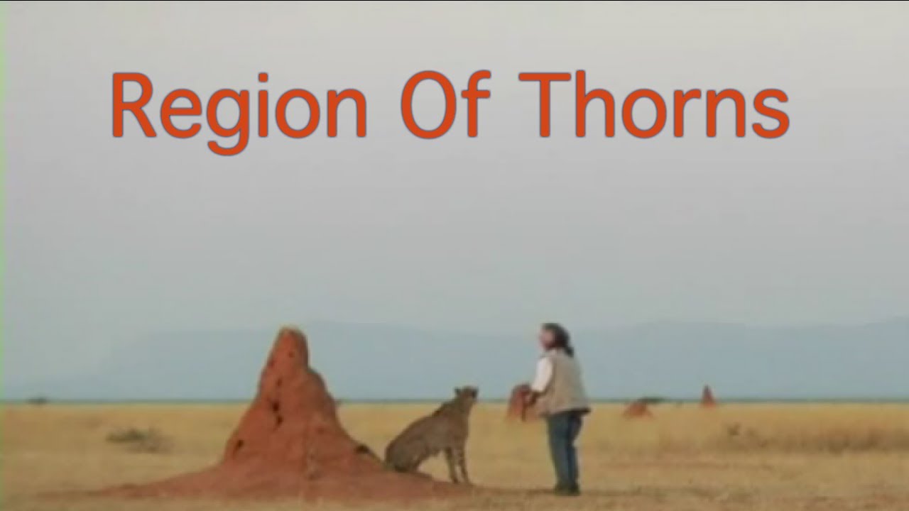Region Of Thorns
