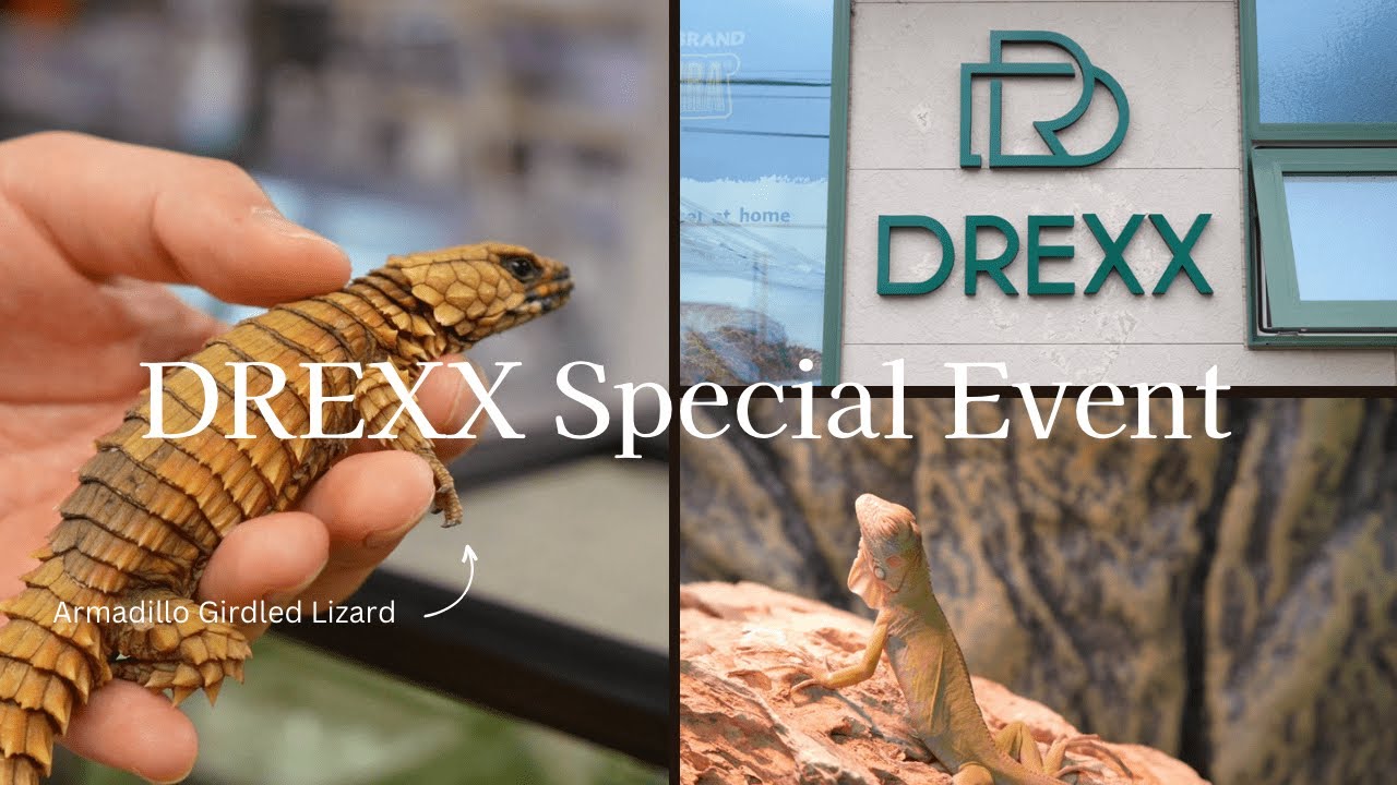 【DREXX Special Open Event】withちゃんねる鰐,真夜中のビバリウム,RAFちゃんねる, Part1