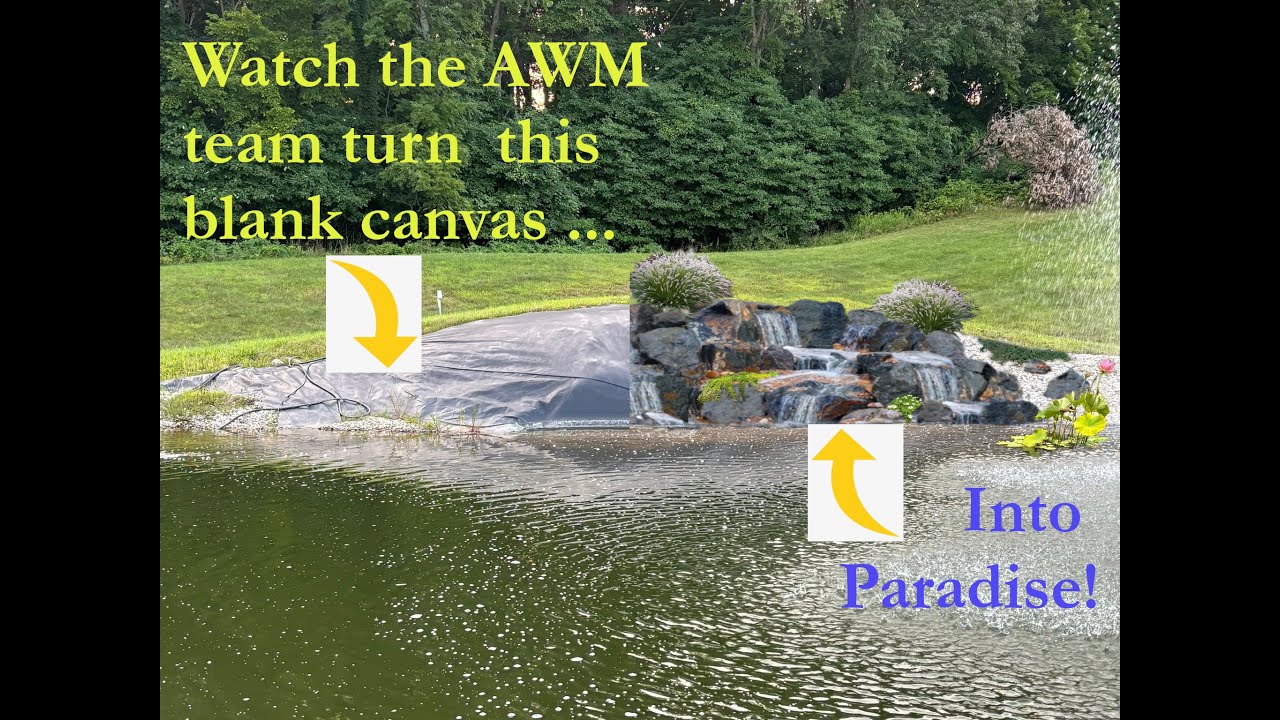 Wetland Filter and Waterfall Addition!!
