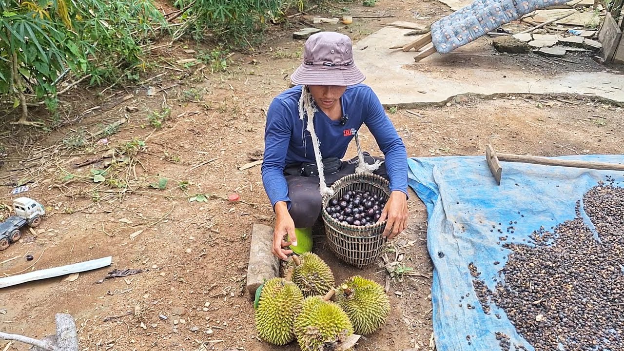 Cari Buah Ditempat Saudara Sepupu, Aktivitas  Saat Pulang Kerja