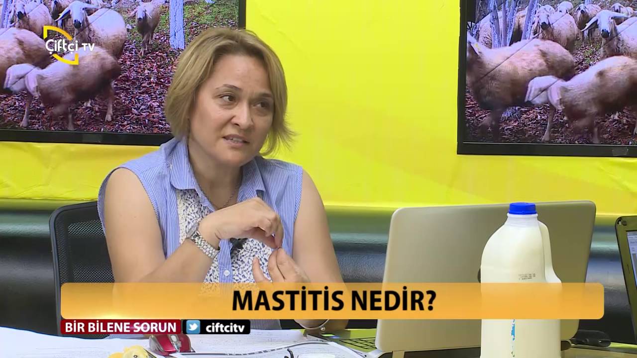 Bir Bilene Sorun-Mastitis Nedir?