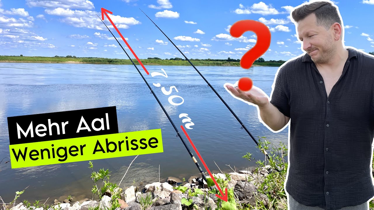 Aal angeln mit Stellfischrute. Positiv überrascht