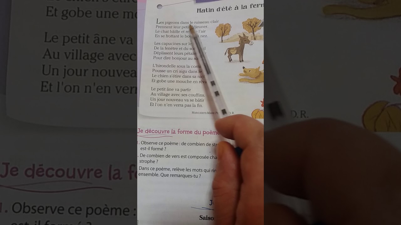 rime,vers et strophe dans un poème