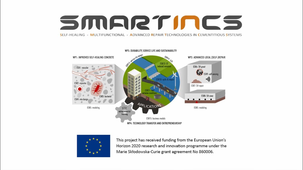 SMARTINCS: What is the project about?