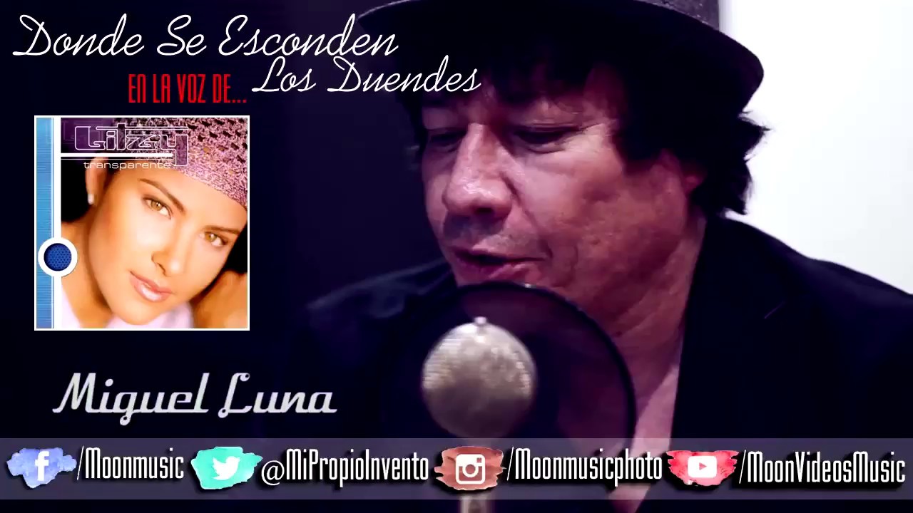 MIGUEL LUNA / EN LA VOZ DE / LITZY / DONDE SE ESCONDEN LOS DUENDES