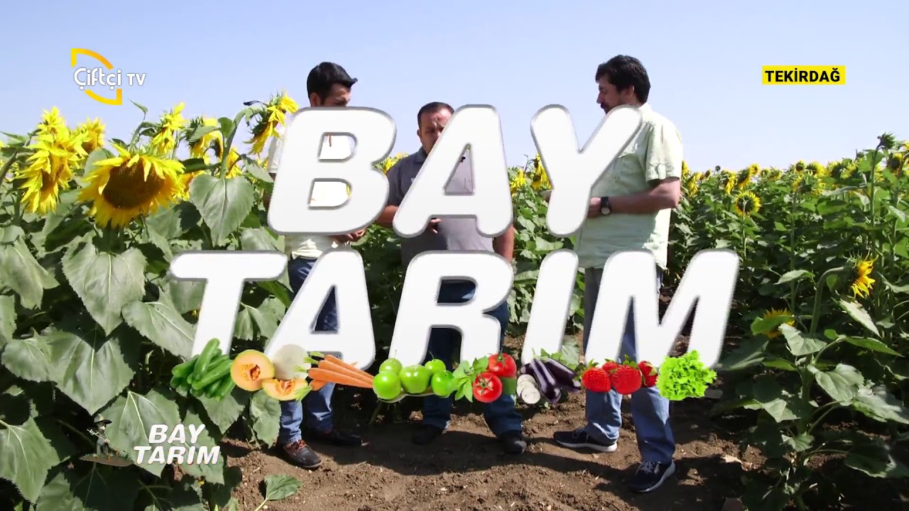 Doğru Toprak Analizi Nasıl Yapılır? - Bay Tarım / Çiftçi TV