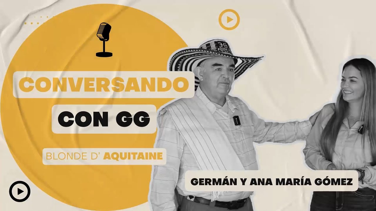 Conversando con GG Capitulo 4 características del Blonde d'Aquitaine