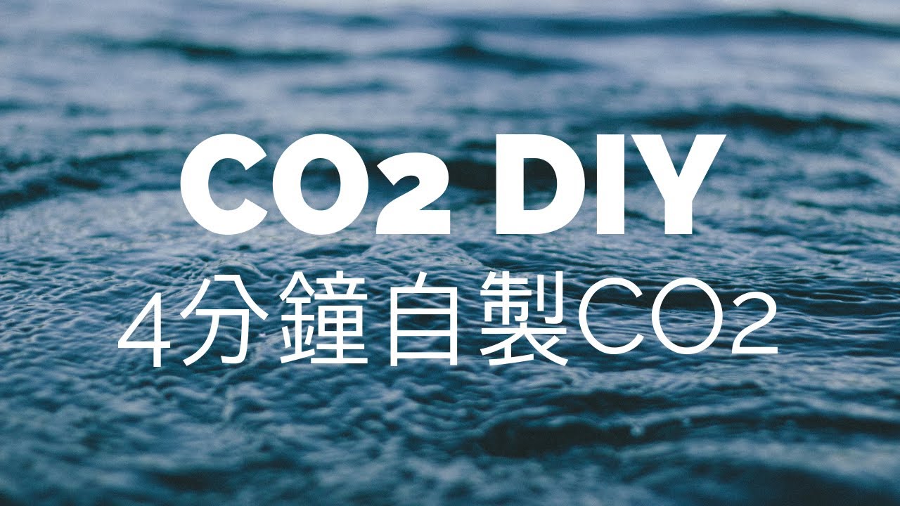【水族筆記】CO2 DIY：4分鐘快速學會自製二氧化碳，詳細步驟教學！