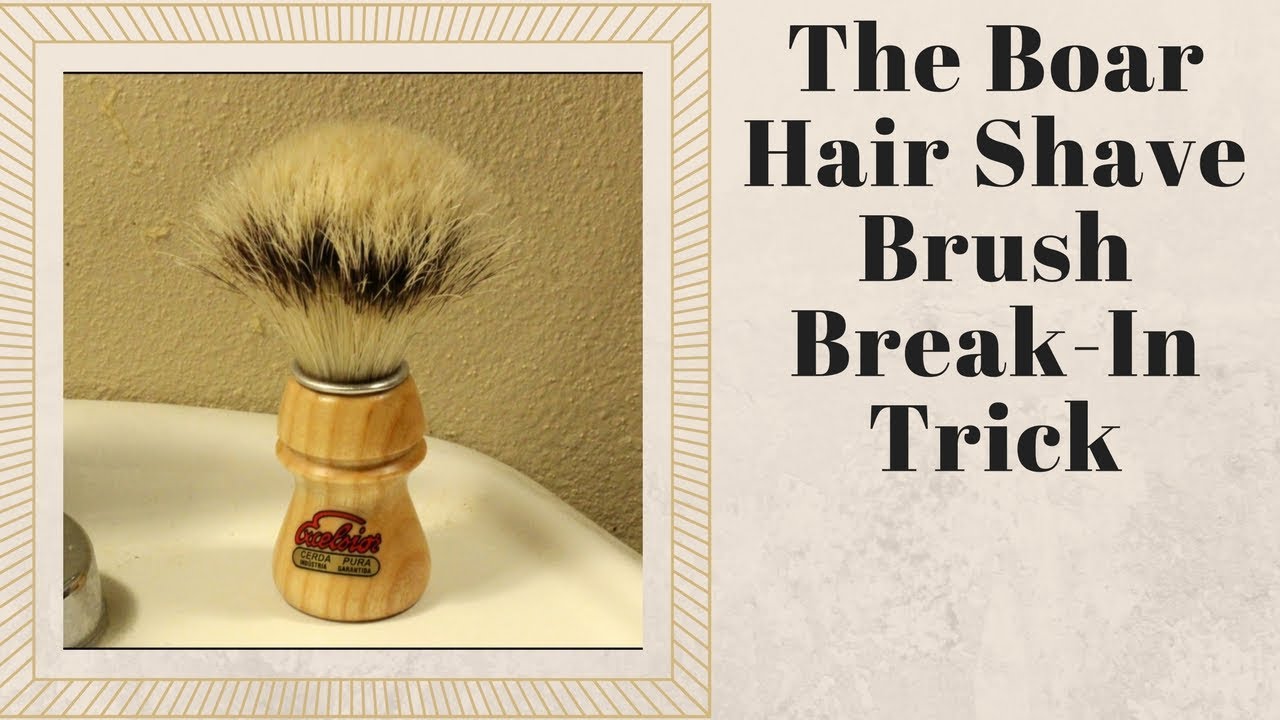 A Quicker Way To Break In A Boar Brush