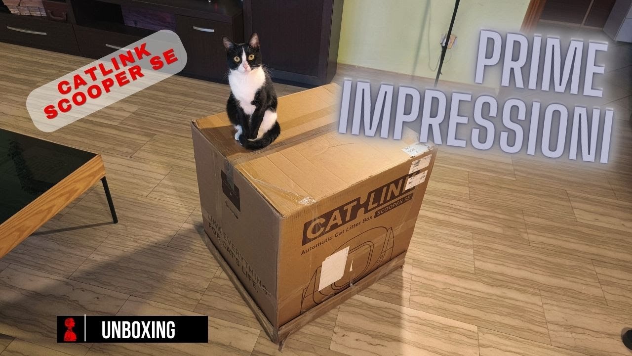 Catlink Baymax Smart Auto Litter Box lettiera gatto smart autopulente - UNBOXING e PRIME IMPRESSIONI