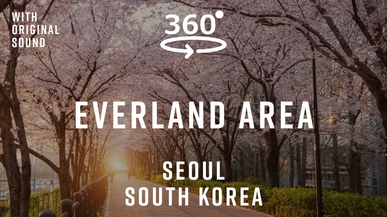 Everland Area – Seoul, South Korea 🇰🇷 | 360° Walking Tour | Original Sound