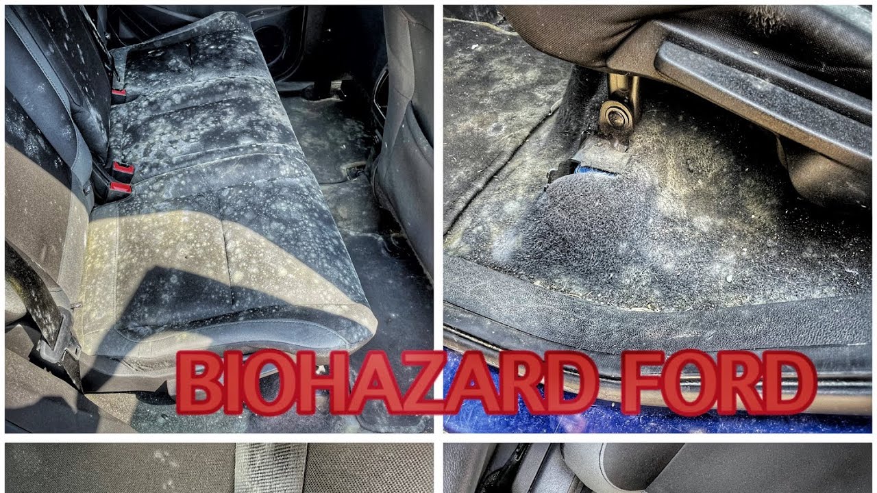Deep dry cleaning of a very dirty and biohazard ford escape