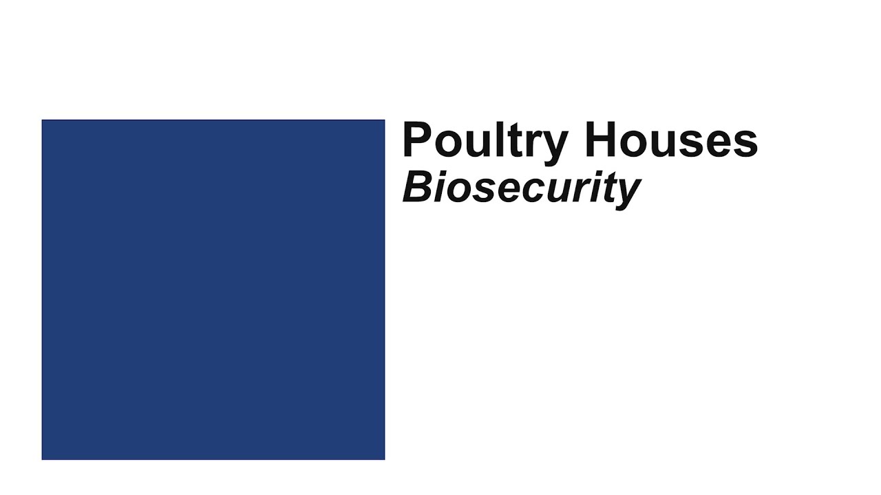 Poultry Houses - Biosecurity