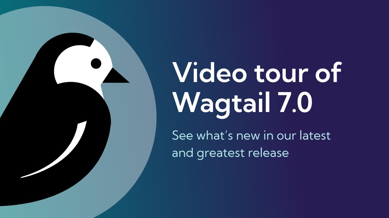 Видеообзор Wagtail 7.0