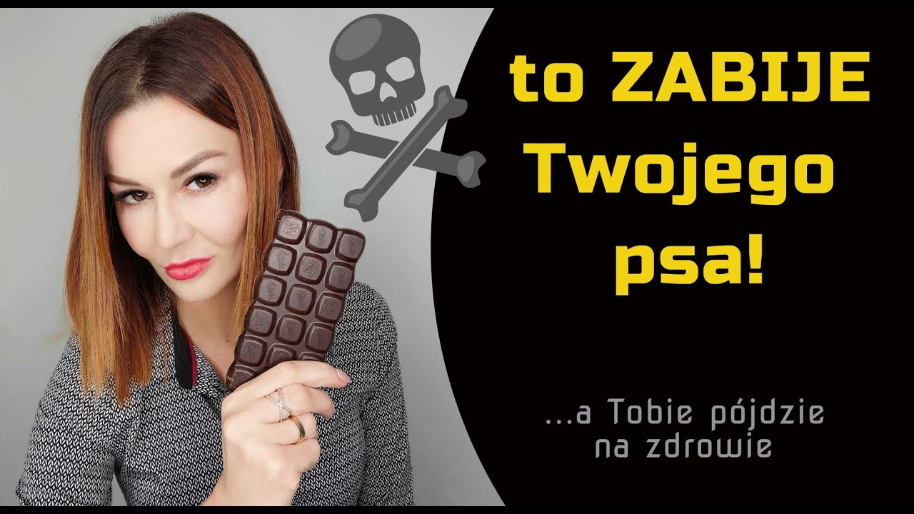 Czego nie może jeść pies? Toksyczne produkty spożywcze | #11