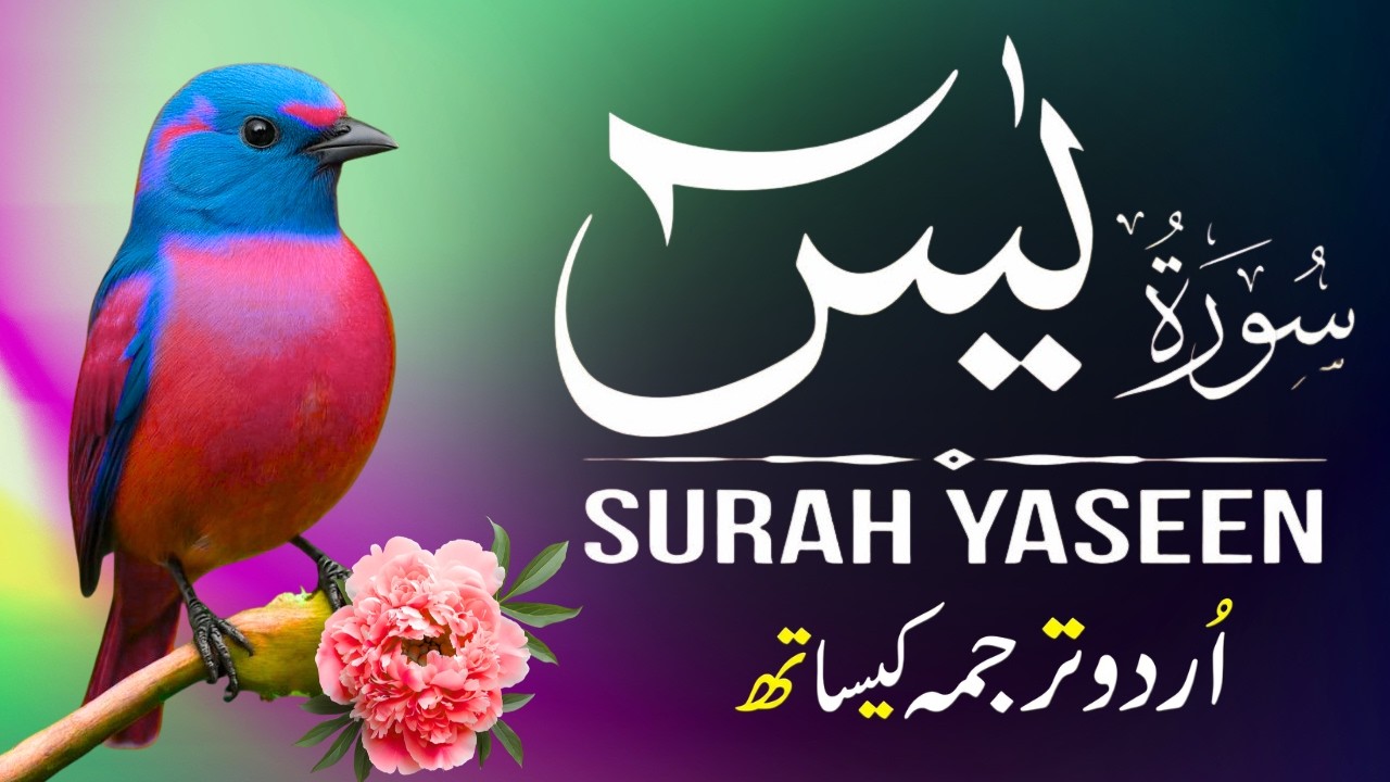 Surah Yaseen | Surah Yaseen With Urdu Translation | Al Furqan Studio | Ep110