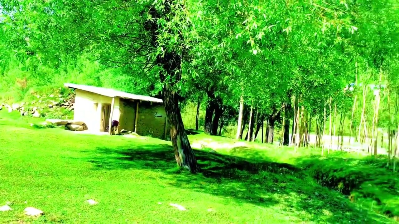 Shaghoch,,lasht Susum Karimabad,,chitral
