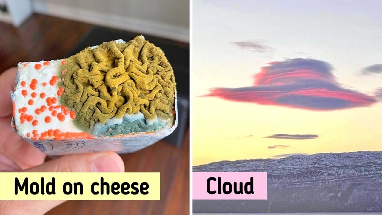 People Who Found Something Special in Ordinary Things
