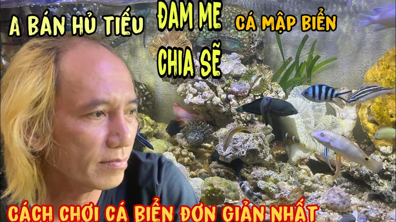 Thú nuôi cá cảnh nước mặn siêu độc lạ của A chàng cắt tóc Miền Tây -Thái Salem vê lốc