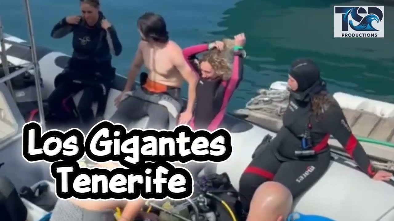 Scuba Diving los Gigantes Tenerife 