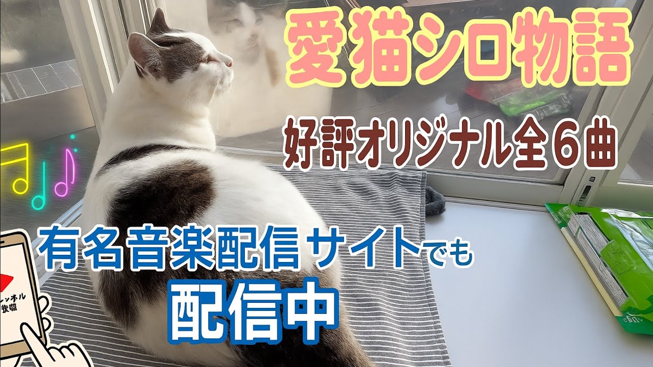 【シロのテーマ】シロと歩んだ思い出を音楽で描く ― 愛猫シロ物語【オリジナルBGM】