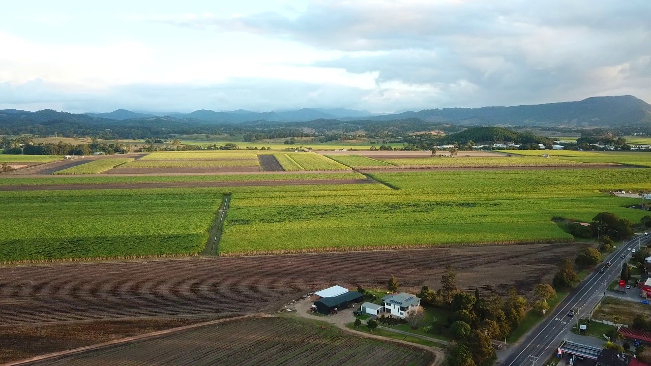 Condong NSW