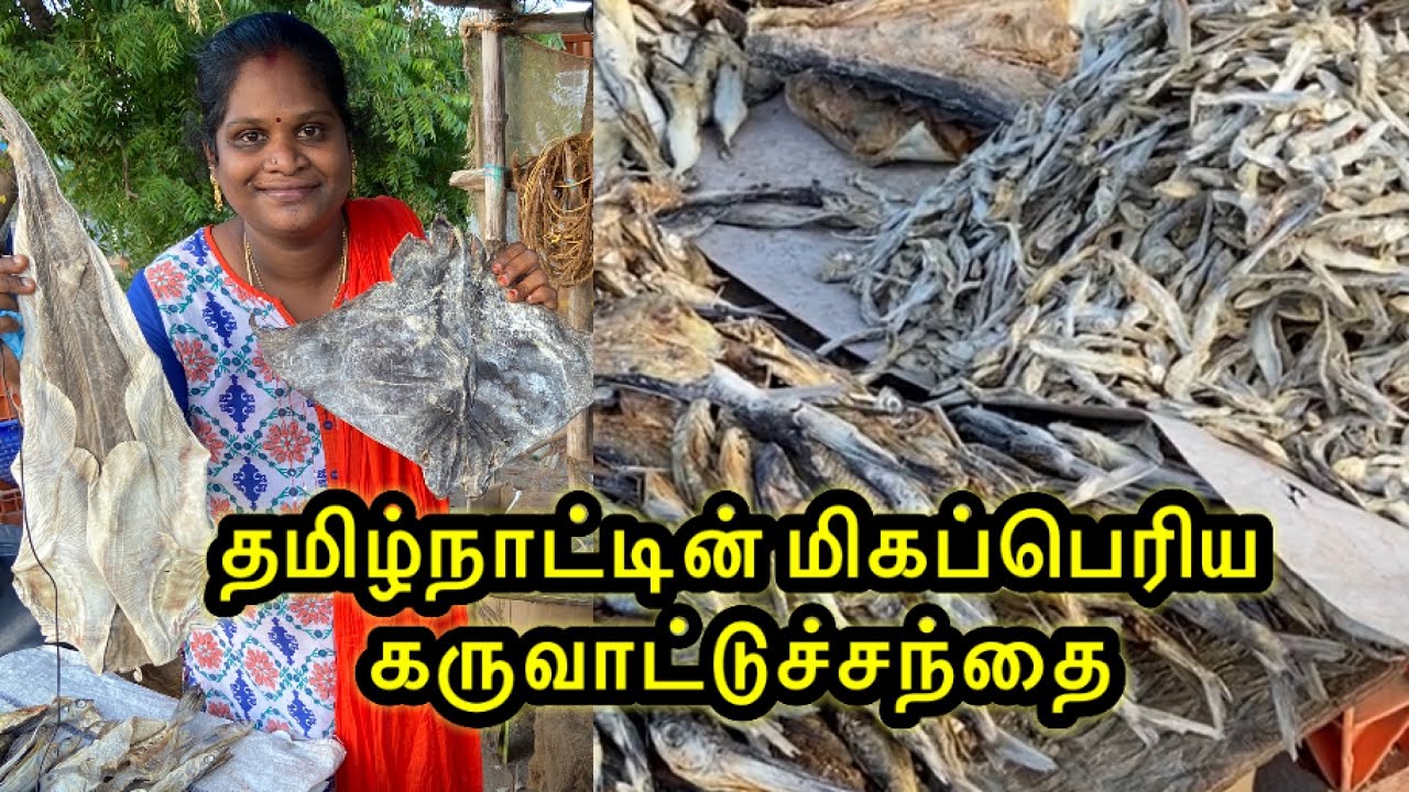 Biggest dryfish market /Mayiladuthurai மிகப்பெரிய கருவாட்டு சந்தை மயிலாடுதுறை/wholesale and retail