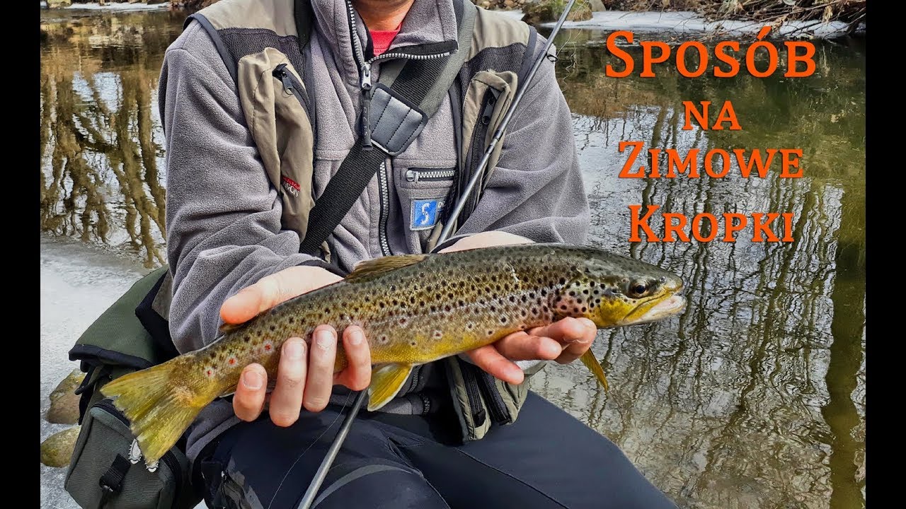 Wędkarstwo spinningowe - Sposób na zimowe pstrągi potokowe z górskiej rzeki, Trout Fishing