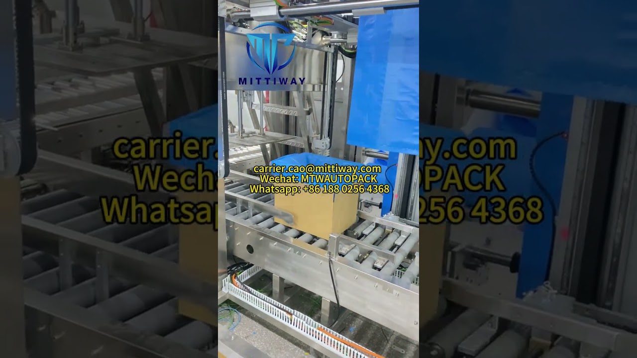 Bag Inserter Machine Food Packaging Machine Instant Carton Bag Inserting Machine