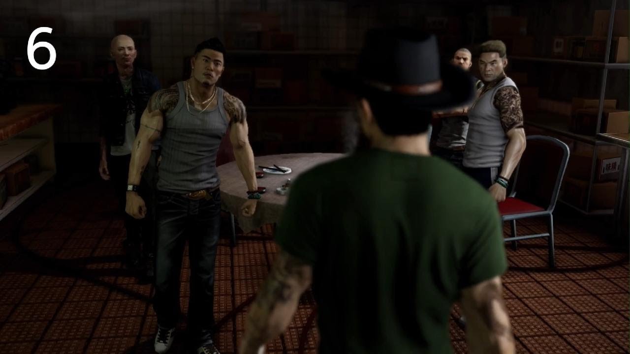 Sleeping Dogs /6