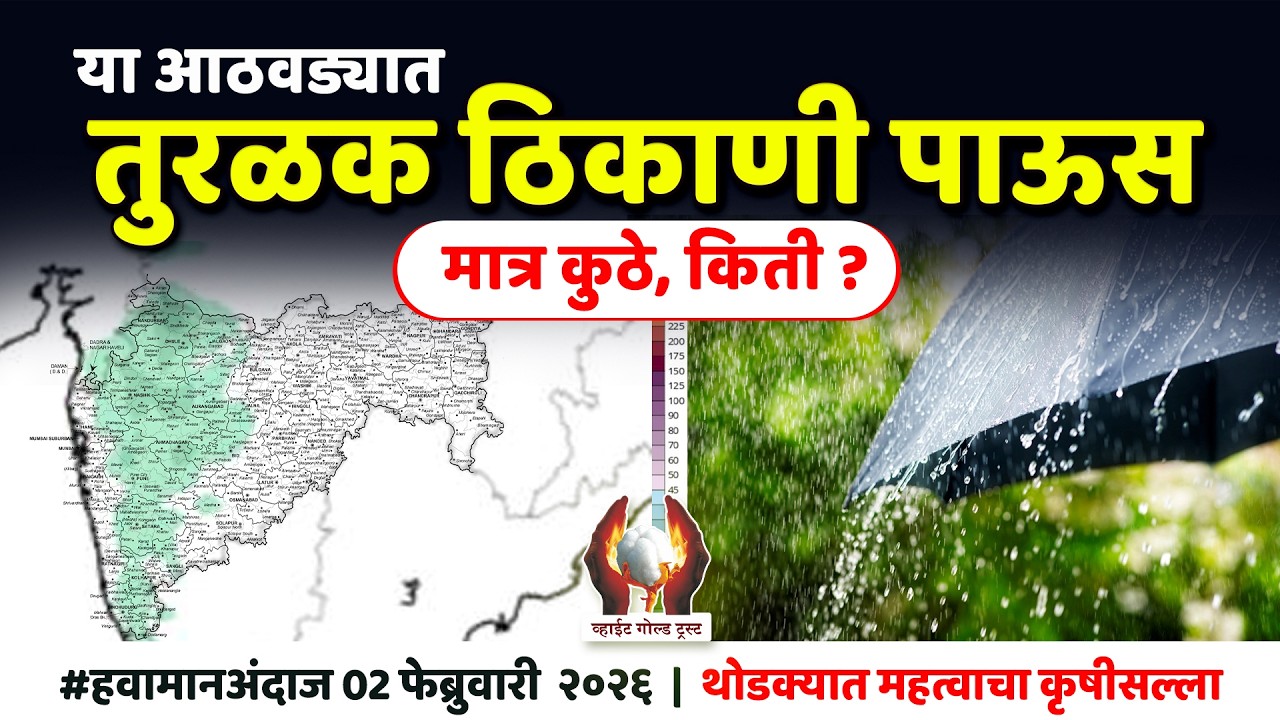या आठवड्यात तुरळक ठिकाणी पाऊस, मात्र कुठे, किती ? #हवामानअंदाज ०२ फेब्रुवारी २०२६