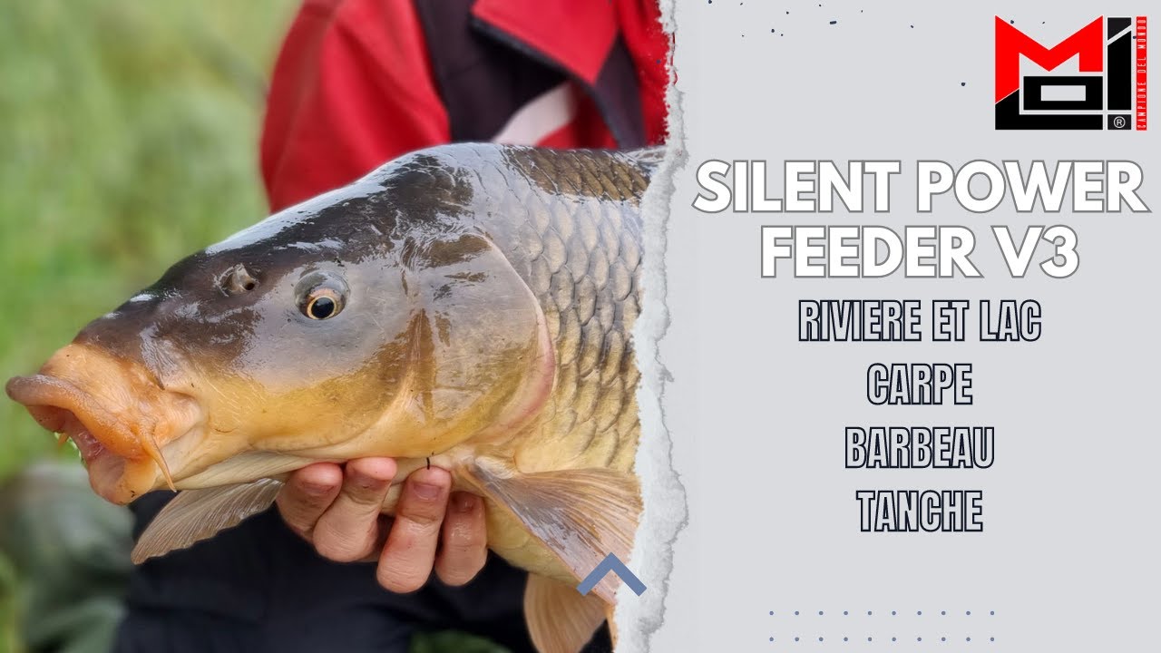 LE SILENT POUR LE GROS POISSON