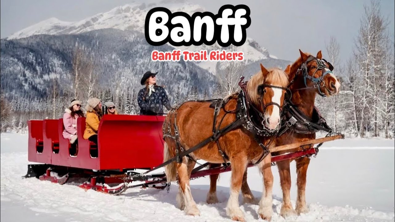 Winter Sleigh Ride in Banff National Park | Banff Trail Riders #insta360 #canada 