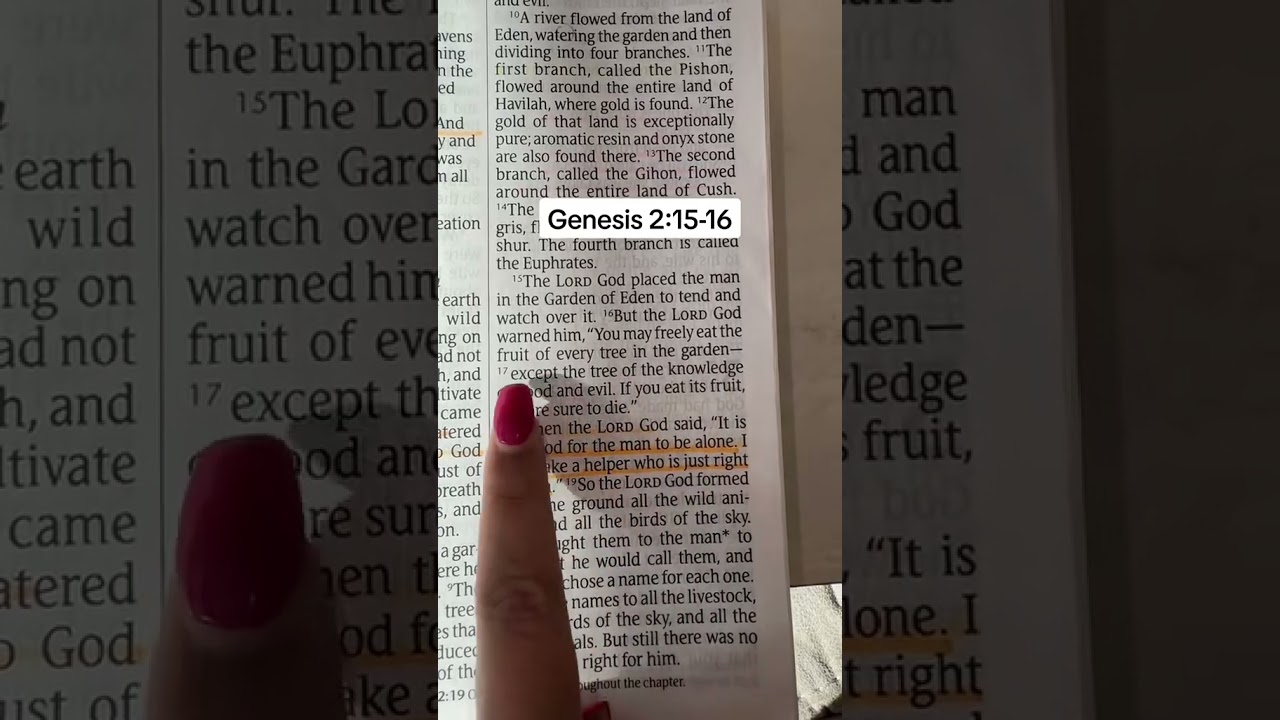 Genesis 2:15-16 &ndash; God&rsquo;s Gift of Work and Responsibility 🌿