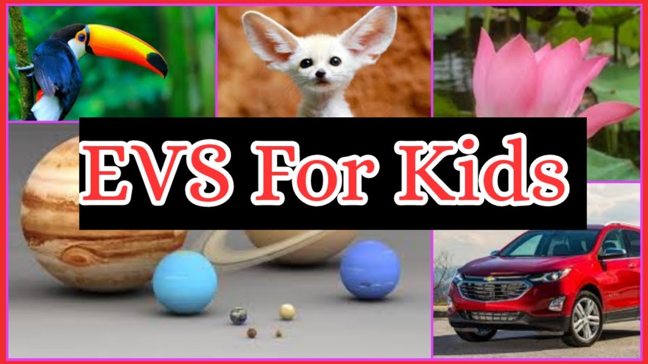 EVS For Kids | Science Chapters For Class LKG,UKG,1st | #Flowersname #Animals #Vehicles #Planets