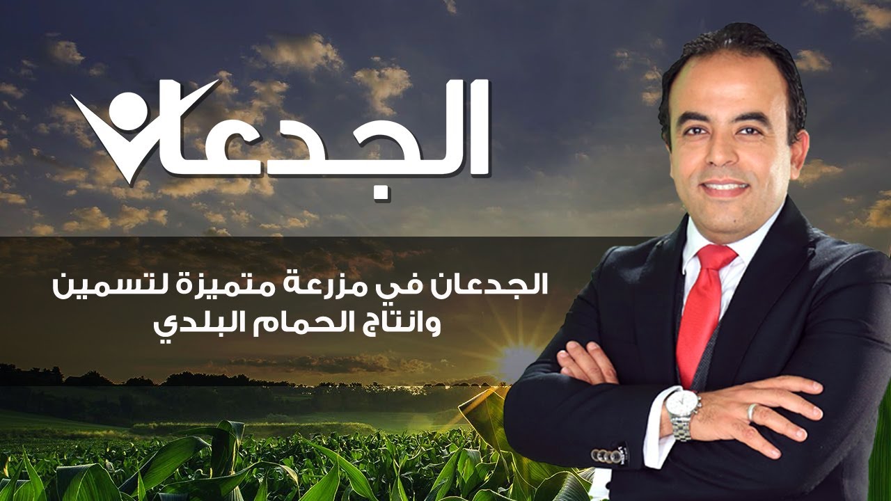 الجدعان في مزرعة متميزة لتسمين وانتاج الحمام البلدي