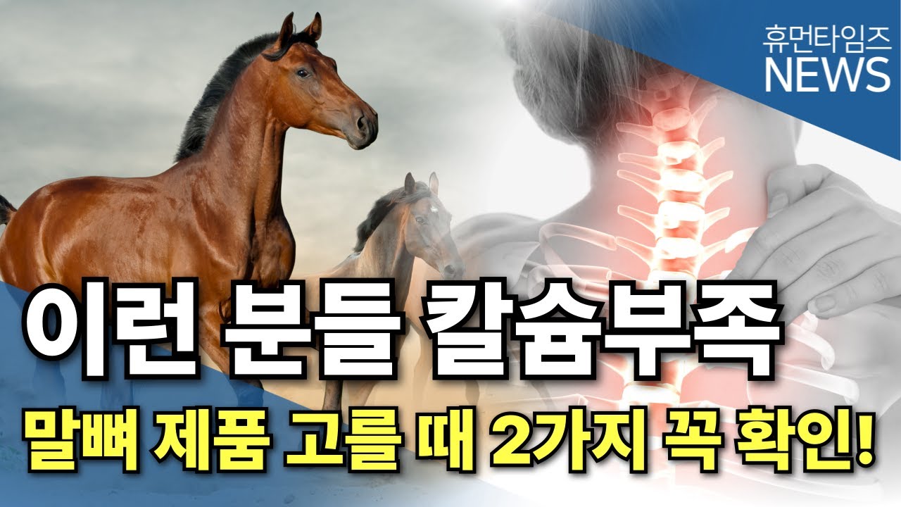 말뼈 제품 고를 때 꼭 확인해야 하는 것