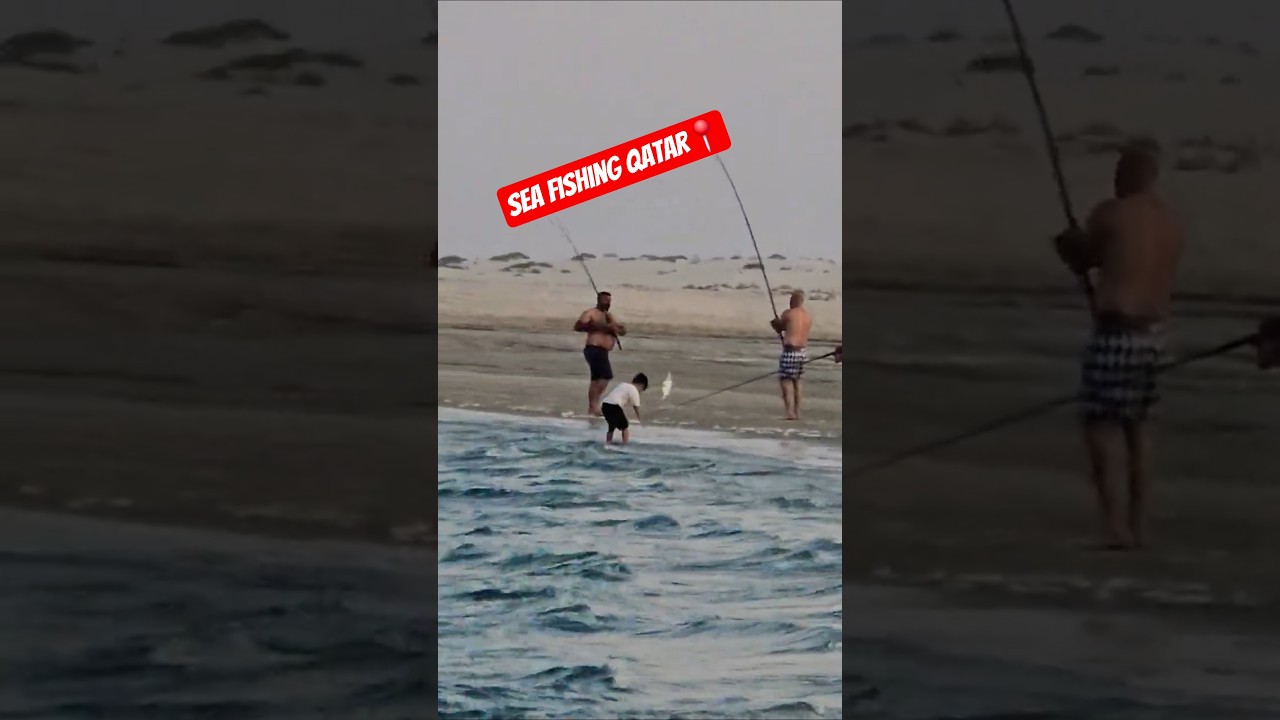 Sea Fishing 🎣🐠 || Doha Qatar