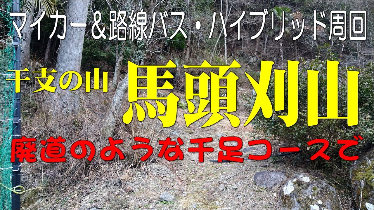 【干支の山】馬頭刈山へ廃道のような千足コースで＠東京都檜原村