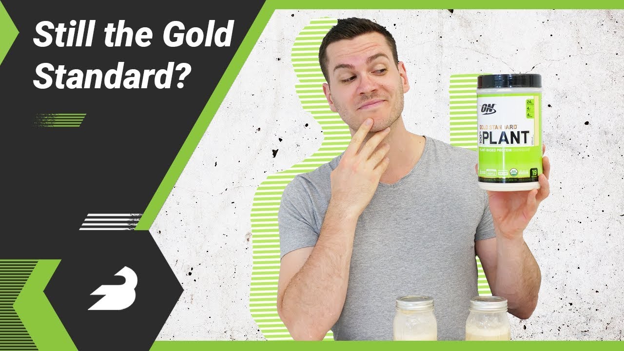 Optimum Nutrition Gold Standard Plant-Based Protein Review - Do Gums Matter?